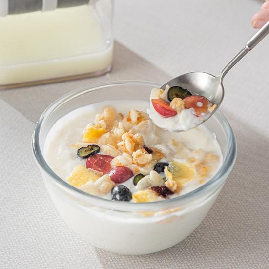 Greek Yogurt Cheese Maker & Strainer BPA-Free Yogurt Filter with Stainless Steel Mesh