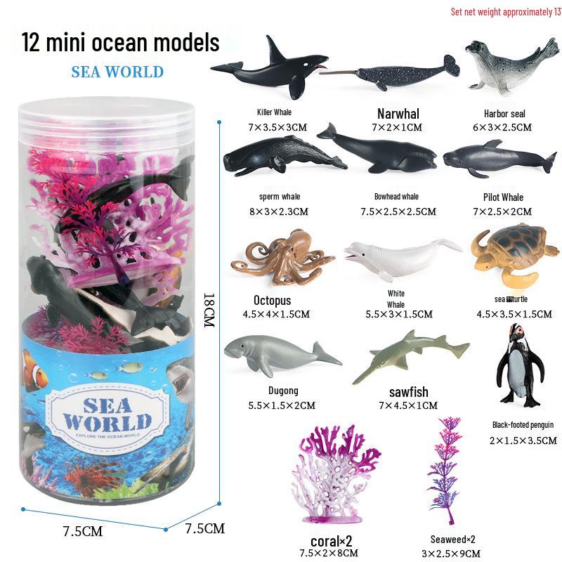 Pediatric Cognitive Simulation: Mini Salmon Growth Cycle Toy