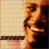 CD SHAGGIE - Hot Shot MVCE24194 Japan Reggae, Ska & Dub Used
