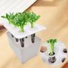 Hydroponic System 6-Holes Growing Box System Garden Cultivation Box For Vegetables Flowers Fruits Indoor Outdoor Garden