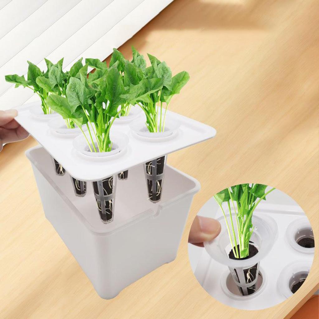 Hydroponic System 6-Holes Growing Box System Garden Cultivation Box For Vegetables Flowers Fruits Indoor Outdoor Garden