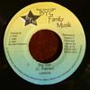 7-Zoll Schallplatte LEXXUS / SHOWKI RU - Big Star / Hands In The Air NONE BYG Family Musi Jamaica Reggae, Ska & Dub Gebraucht