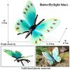 Oenux Modelo de Animales Insectos Mariposa Monarca Actias Ningpoana Mariposa Cola de Golondrina Ciclo de Vida Figura de Jardín Juguete Educativo para Niños Regalo