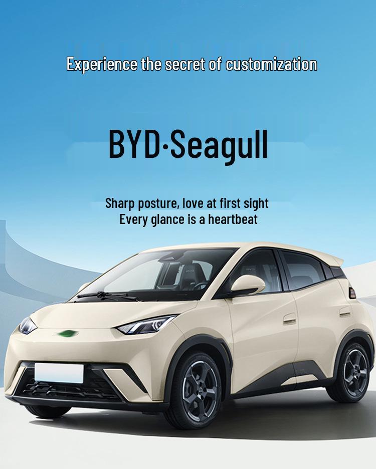 Housse de siège de voiture BYD Seagull - Couverture intégrale, Cuir, Toutes saisons, Édition Vitalité Vol Libre